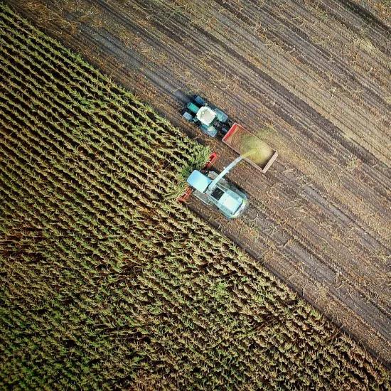 Digital farming