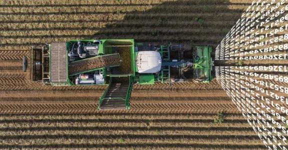 AVR smart and transparent potato harvesting machine at work at the field